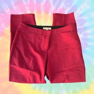Hot Pink Ann Taylor Loft Dress Pants
